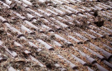 Blaencwm roof cleaning companies